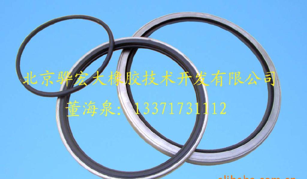 中速磨煤機(jī)磨輥總成骨架油封