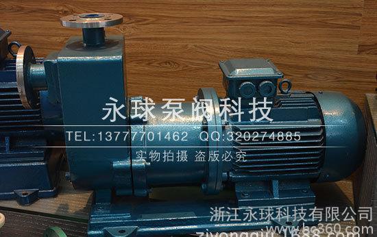 不銹鋼耐腐蝕磁力泵，自吸式磁力泵， 防爆型磁力泵 ZCQ25-20-115