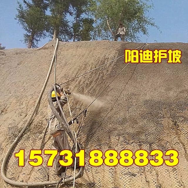 十堰客土噴播，武漢邊坡綠化，湖北山體錨噴，黃石掛網(wǎng)噴漿，荊州混凝土噴漿，陽迪公司
