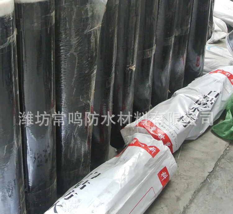 自粘防水卷材 橡膠瀝青防水卷材高分子自粘卷材廠家現(xiàn)貨