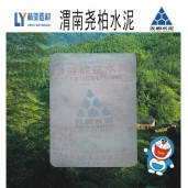 西安堯柏水泥廠價(jià)直銷/渭南堯柏水泥價(jià)格/咸陽(yáng)堯柏水泥批發(fā)