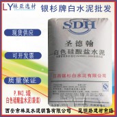 銀杉圣德翰PW42.5級(jí)白水泥 阿爾博銀杉白川白水泥價(jià)格
