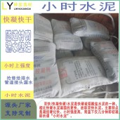 供應(yīng)建文AAA快凝快硬水泥（雙快水泥） 西安雙快水泥批發(fā)