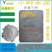 甘肅快凝快硬水泥 （雙快水泥） 特種水泥