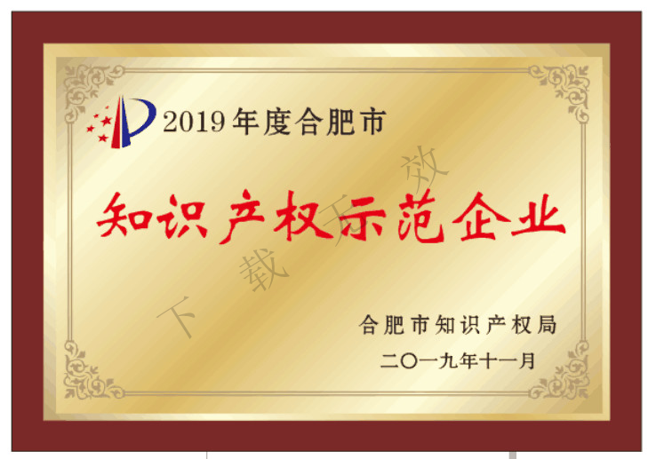 2019合肥知識產(chǎn)權(quán)示范企業(yè)